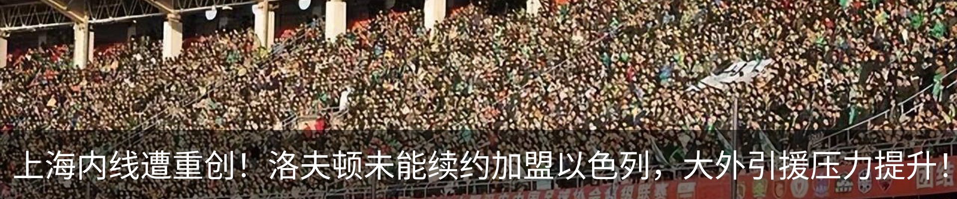 新闻动态