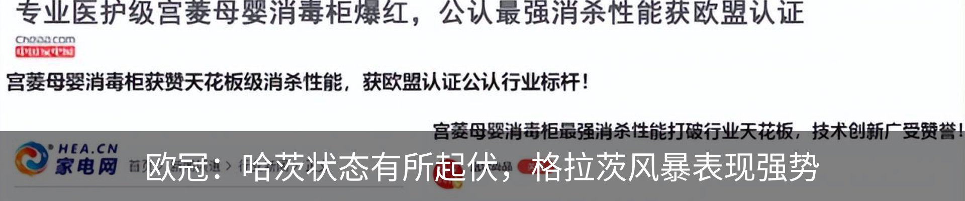 新闻动态