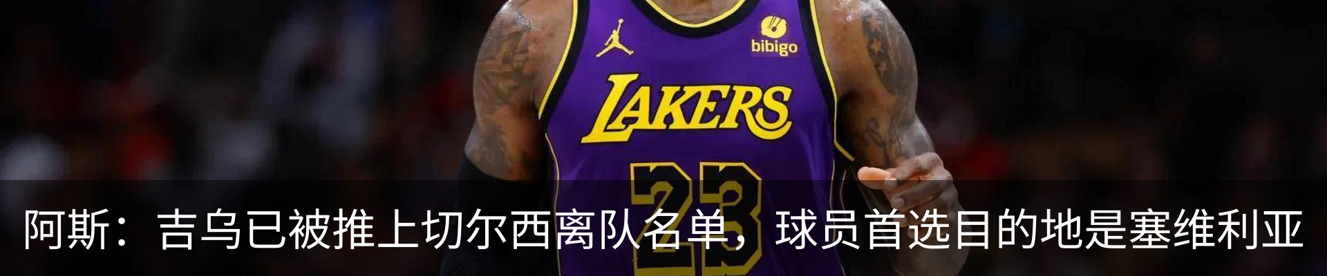新闻动态